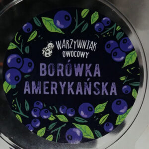 Biedronka Borówka amerykańska odmiany Brightwell 300 g